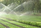 Hay Southlandscaping-irrigation-11.jpg; ?>